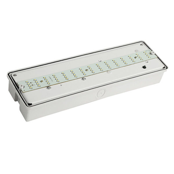 نور اضطراری ضد آب نصب شده بر روی سطح دیوار IP65 SMD موقعیت مرطوب در خارج EL060AN
