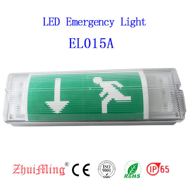 نصب شده ضد آب پارادایز اورژانسی نور سطح دیوار LED خارج از منزل خیس IP65 EL015AMN