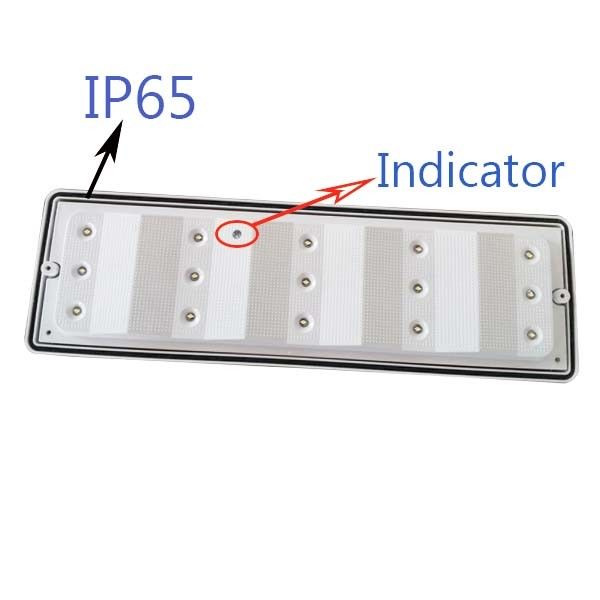 سطح دیوار نصب شده ضد آب چراغ پارادایوی اضطراری LED IP65 L102M