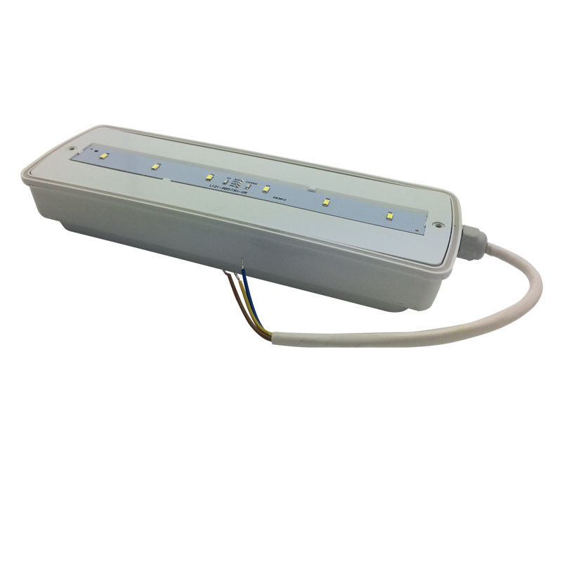 چراغ اورژانسی ضد آب پاراده ای قابل شارژ مجدد IP65 پلاستیکی Ni-Cd با باتری پشتیبان 3 ساعت L116N-E