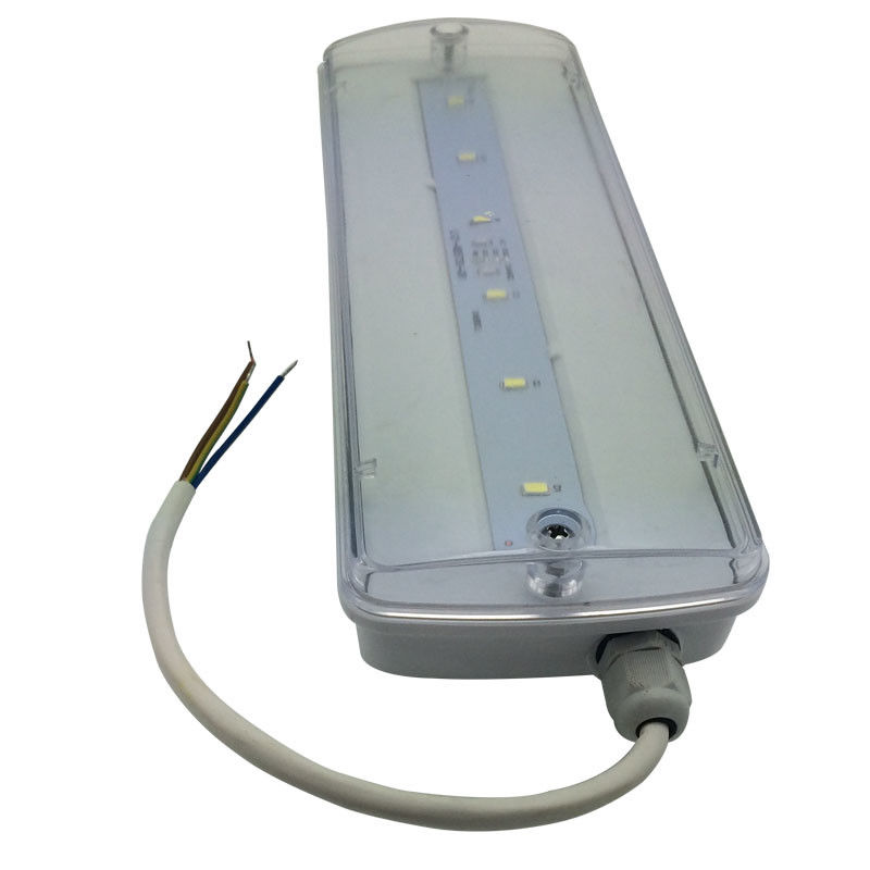 چراغ اورژانسی ضد آب پاراده ای قابل شارژ مجدد IP65 پلاستیکی Ni-Cd با باتری پشتیبان 3 ساعت L116N-E