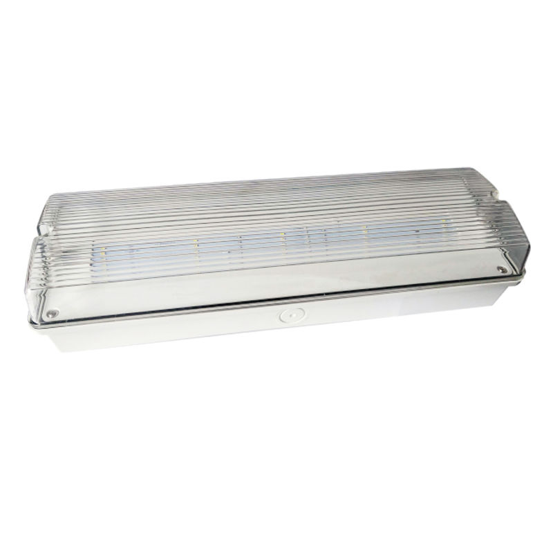 چراغ اضطراری ضد آب و هوا LED لیفتر IP65 220V 240V 3H پشتیبان Ni Cd باتری چراغ