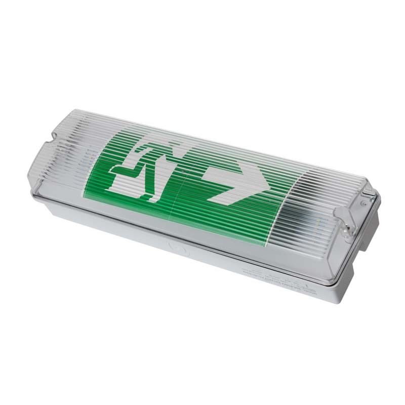 چراغ اضطراری ضد آب و هوا LED لیفتر IP65 220V 240V 3H پشتیبان Ni Cd باتری چراغ