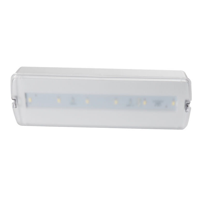 چراغ اضطراری LED قابل شارژ با باتری پشتیبان پلاستیکی دائمی، قابل نصب روی دیوار، با پشتیبان 3 ساعته، Ni-Cd، IP20