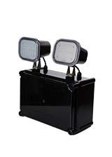 IP65 ضد آب 2X4W چراغ اضطراری دو نقطه با 3 سال گارانتی و چراغ اضطراری LED دو سر