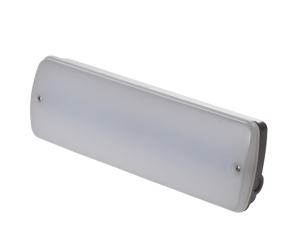 نگهداری نشده نگهداری نشده 3W ضد آب نور اضطراری مرطوب محل در فضای باز 3 سال گارانتی IP65 L121N